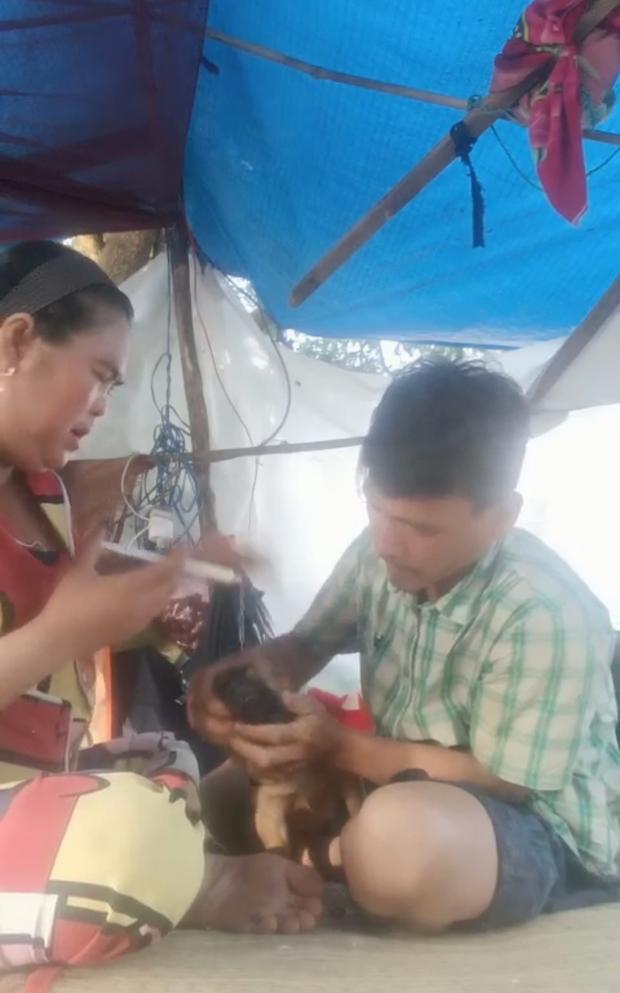 Chủ nhân 15 chú chó bị tiêu hủy đón Tết với 600 nghìn và đàn chó mới-3