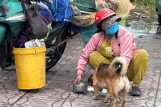 Chủ nhân 15 chú chó bị tiêu hủy đón Tết với 600 nghìn và đàn chó mới