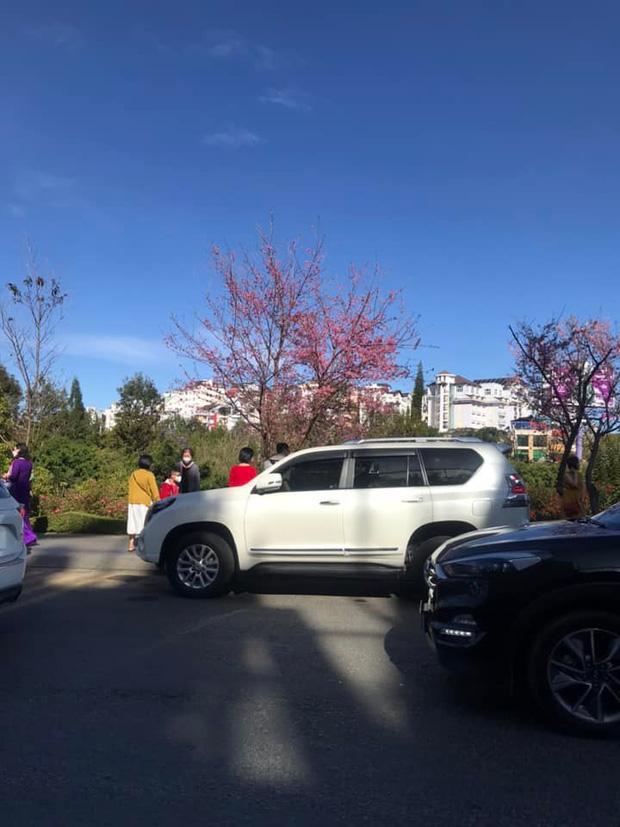 Đà Lạt ngay lúc này: Ô tô, xe máy còn nhiều hơn du khách-5