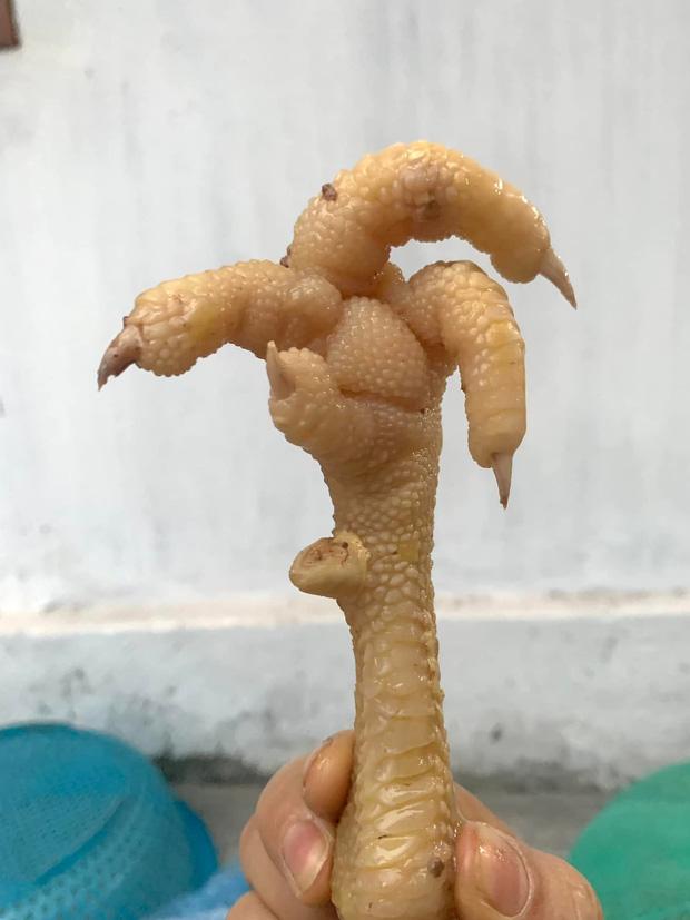 Những chiếc chân gà hú hồn nhất Tết Nhâm Dần mang thông điệp gì?-3