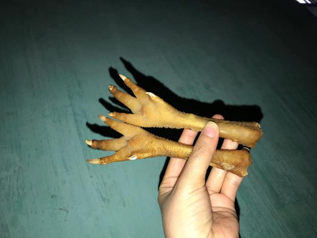 Những chiếc chân gà hú hồn nhất Tết Nhâm Dần mang thông điệp gì?-5