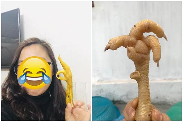 Nhâm Dần 2022, trẻ sinh tháng Âm lịch nào tài năng nhất?-2