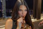 Kendall Jenner bị chỉ trích vì uống rượu bằng ống hút
