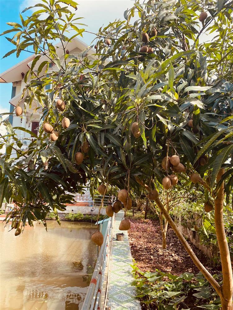 Lộ biệt thự gia đình hôn phu Ngọc Hân, nhìn chuẩn nhà giàu-9