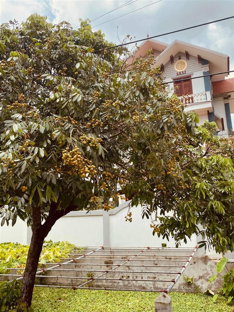 Lộ biệt thự gia đình hôn phu Ngọc Hân, nhìn chuẩn nhà giàu-11