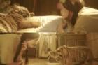 Nữ diễn viên ngủ với hổ khiến ai nhìn thấy cũng tan chảy
