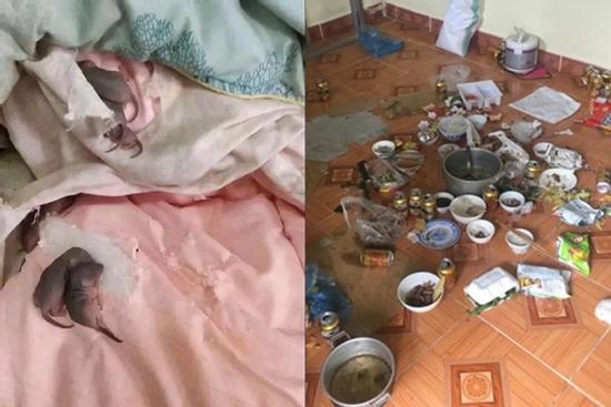 Trở lại phòng trọ sau Tết, sinh viên 'xỉu ngang, xỉu dọc' vì ám ảnh