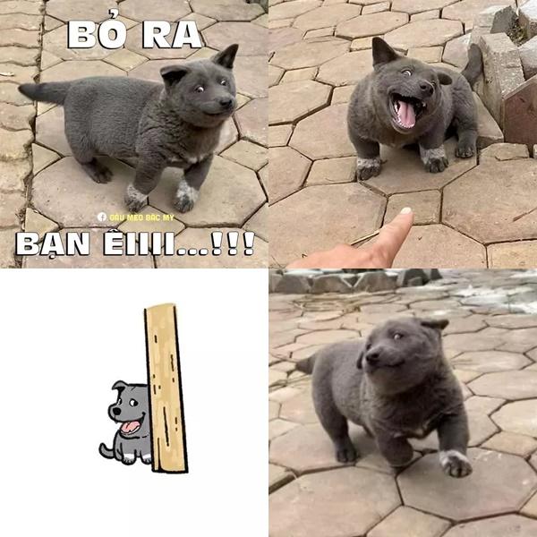 Idol Nguyễn Văn Dúi lên chức, làm bố 5 con-1