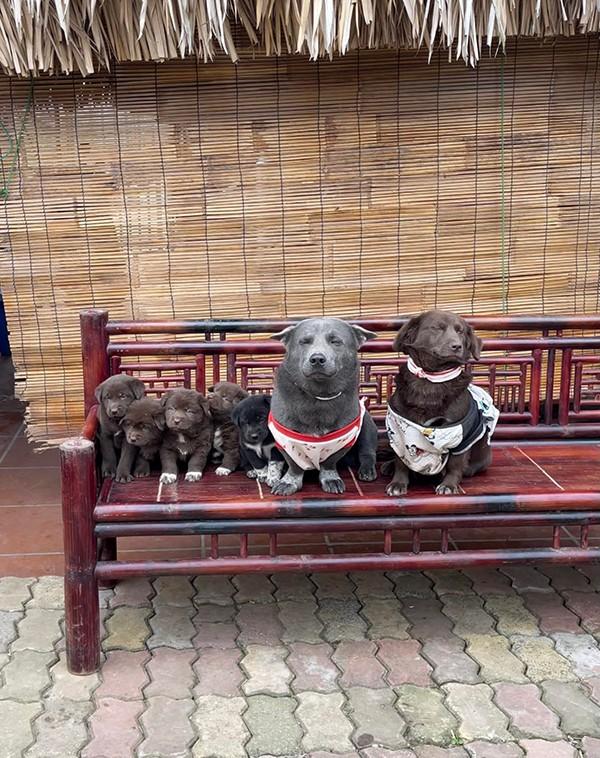 Idol Nguyễn Văn Dúi lên chức, làm bố 5 con-3