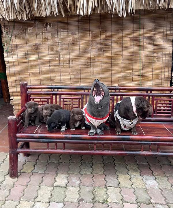 Idol Nguyễn Văn Dúi lên chức, làm bố 5 con-5