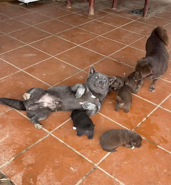 Idol Nguyễn Văn Dúi lên chức, làm bố 5 con-4