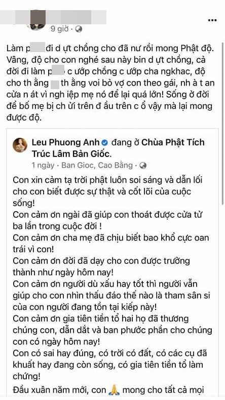 Các con Lều Phương Anh bị dân mạng chỉ trích cay độc-3