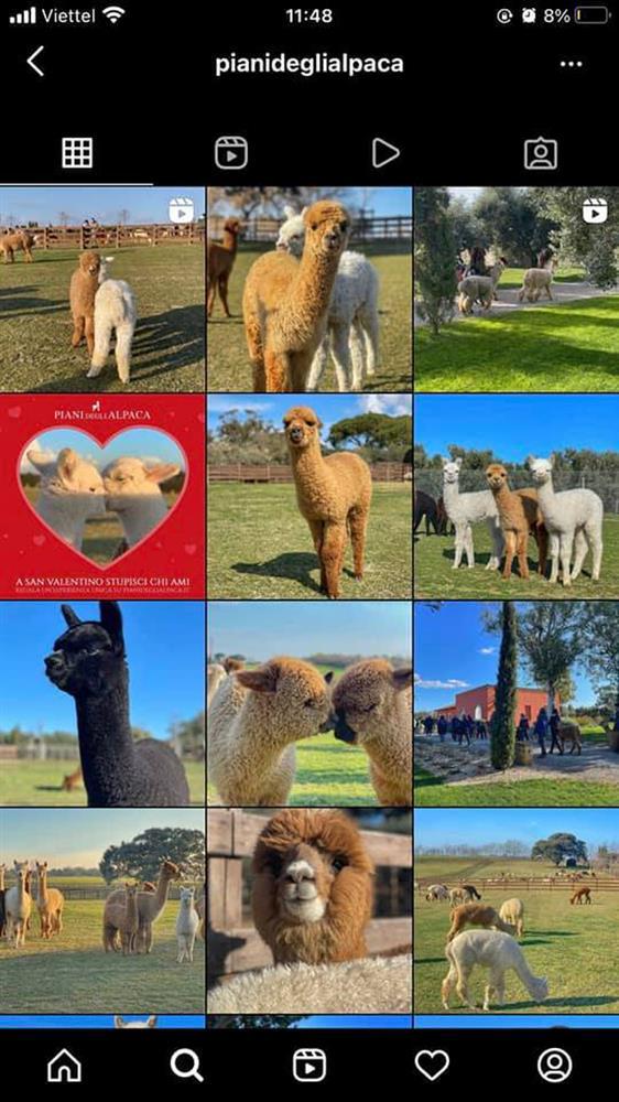 T.O.P lập công ty sau khi rời YG, fan đoán tên nhóm nhạc sắp debut!-2