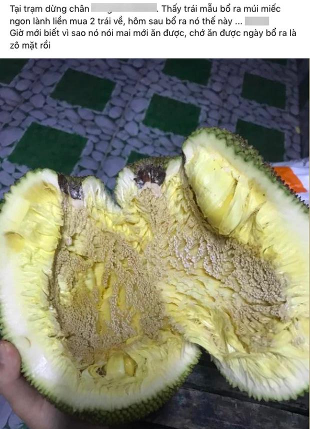 Tin người bán mai mới ăn được, thanh niên uất nghẹn khi bổ mít-1