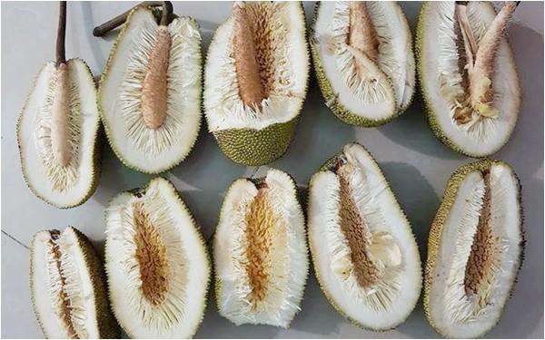 Tin người bán mai mới ăn được, thanh niên uất nghẹn khi bổ mít-2