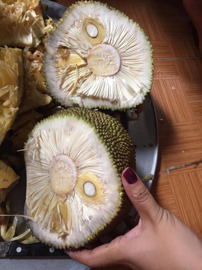 Tin người bán mai mới ăn được, thanh niên uất nghẹn khi bổ mít-3