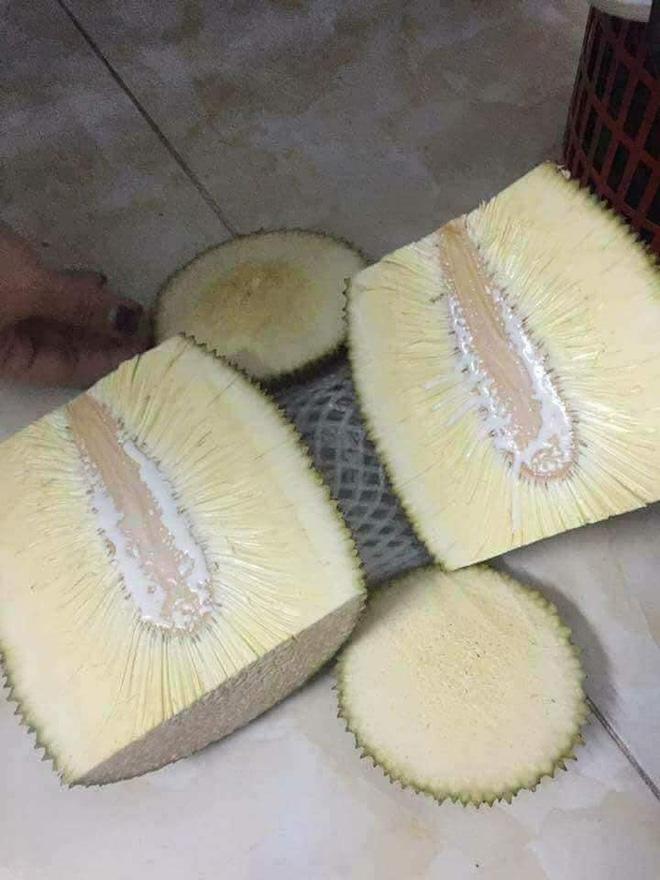 Tin người bán mai mới ăn được, thanh niên uất nghẹn khi bổ mít-4