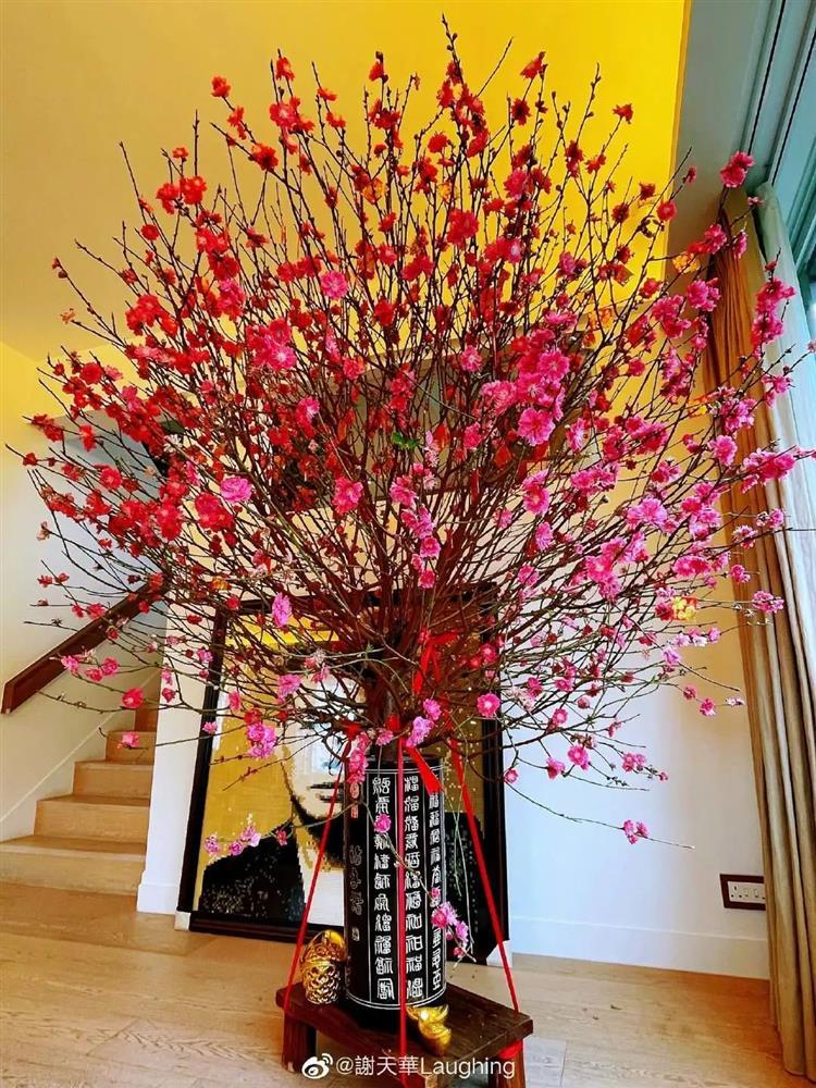 Tài tử TVB Tạ Thiên Hoa sự nghiệp tái lên hương, ở nhà trăm tỷ-2