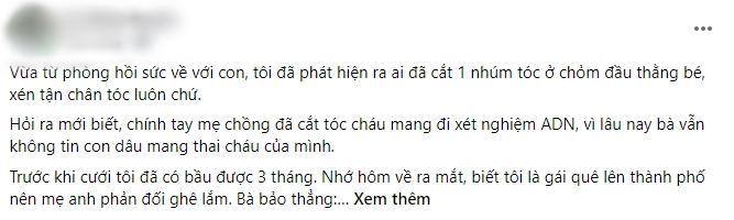 Cháu vừa sinh đỏ hỏn, mẹ chồng cắt tóc mang xét nghiệm ADN-1