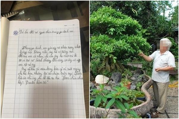 Bài văn miêu tả chị gái nhà người ta khiến dân mạng sa mạc lời-2