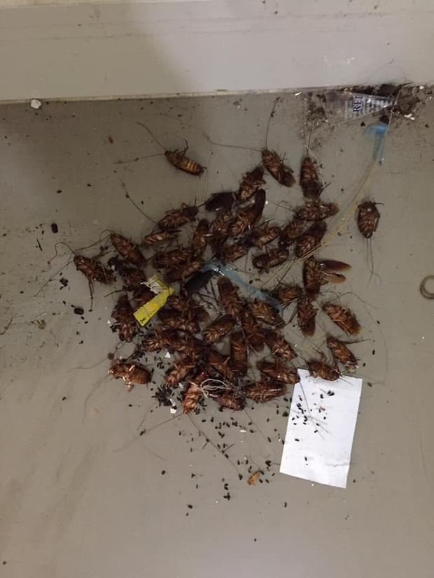 Nghỉ dịch 9 tháng, ngày trở lại phòng nam sinh sốc toàn tập-2