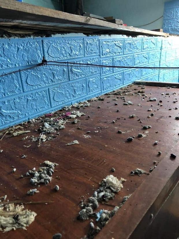 Nghỉ dịch 9 tháng, ngày trở lại phòng nam sinh sốc toàn tập-5