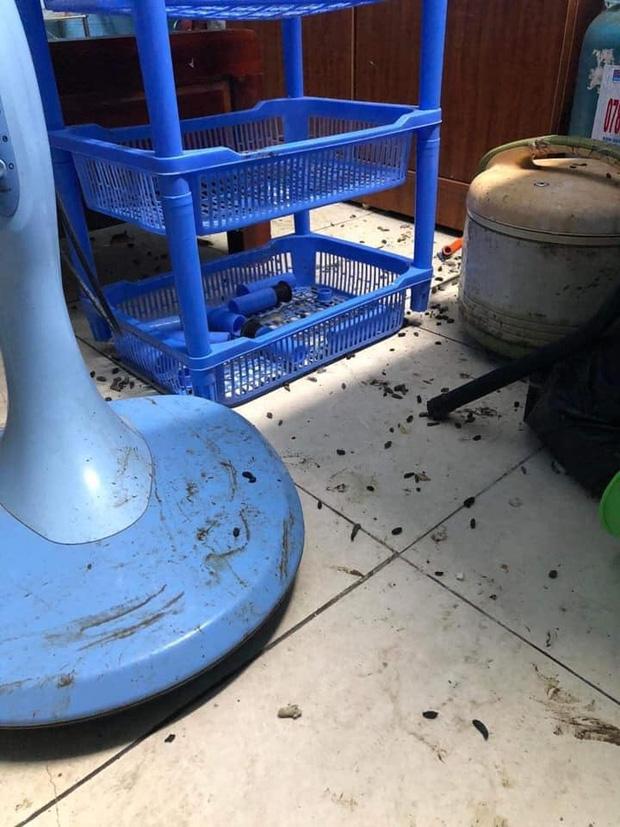 Nghỉ dịch 9 tháng, ngày trở lại phòng nam sinh sốc toàn tập-6