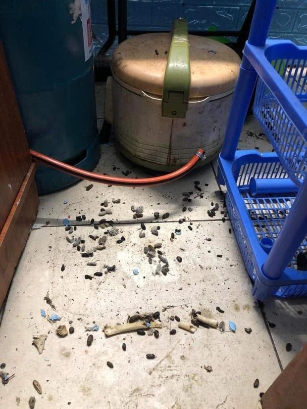 Nghỉ dịch 9 tháng, ngày trở lại phòng nam sinh sốc toàn tập-3