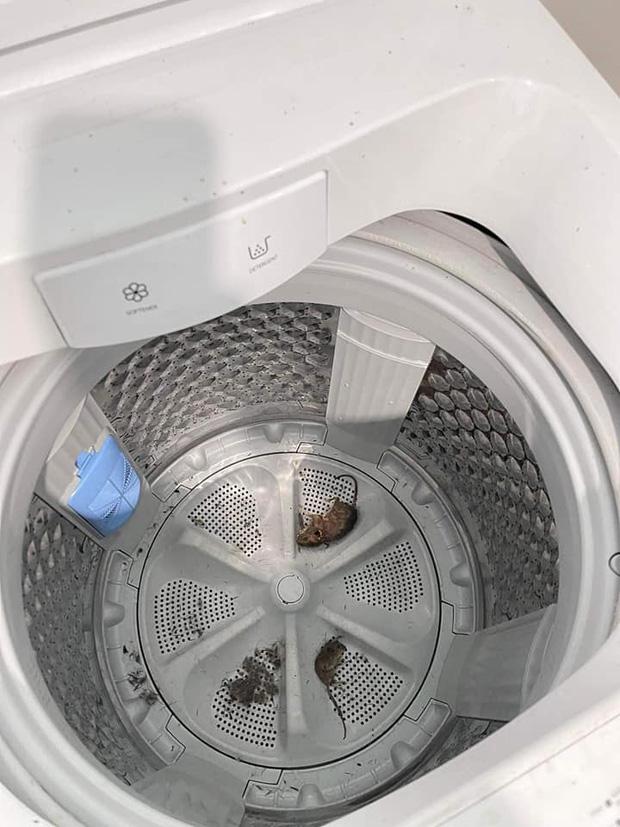 Nghỉ dịch 9 tháng, ngày trở lại phòng nam sinh sốc toàn tập-8