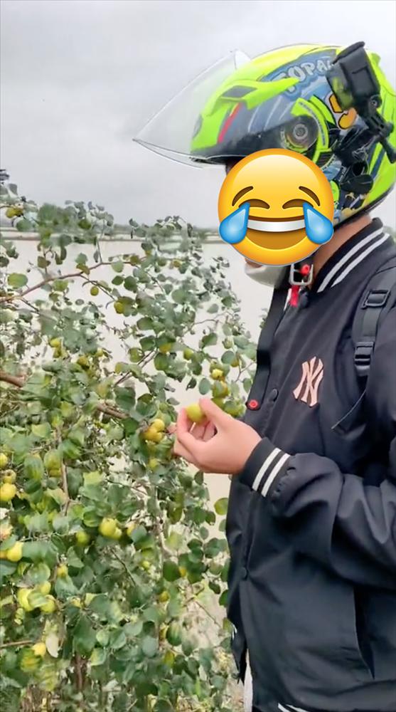 Đây là cây táo ngon nhất truyền thuyết, nghe lý do mà phải gật gù!-2