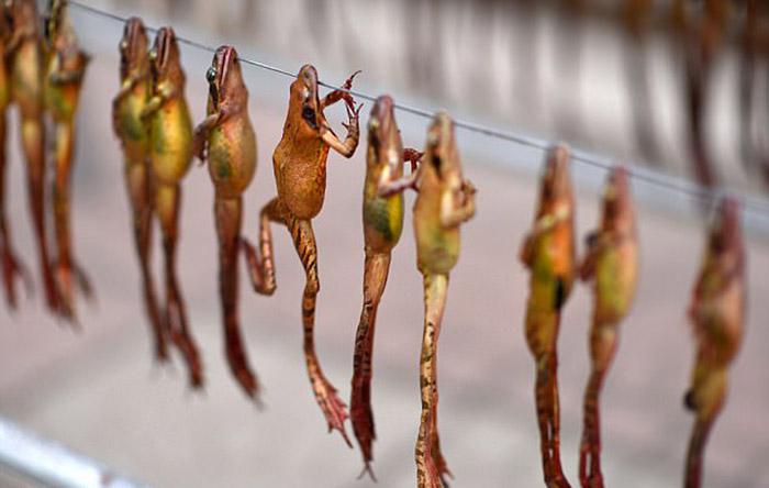 Món ăn ghê rợn được tôn vinh là bí quyết dưỡng nhan cho Hoàng đế-1