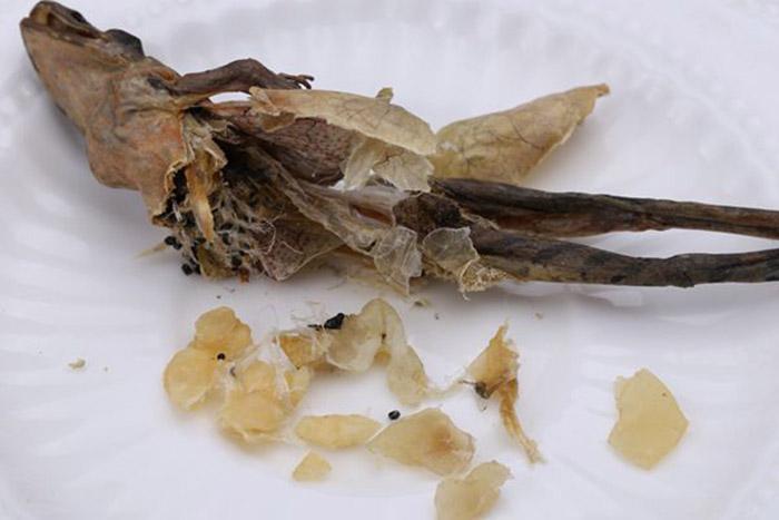 Món ăn ghê rợn được tôn vinh là bí quyết dưỡng nhan cho Hoàng đế-2