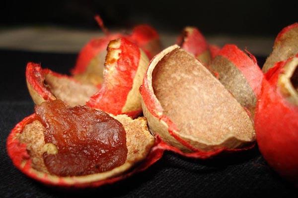 Thành phần bí mật trong thanh kẹo nước Nga gây tranh cãi dữ dội-4