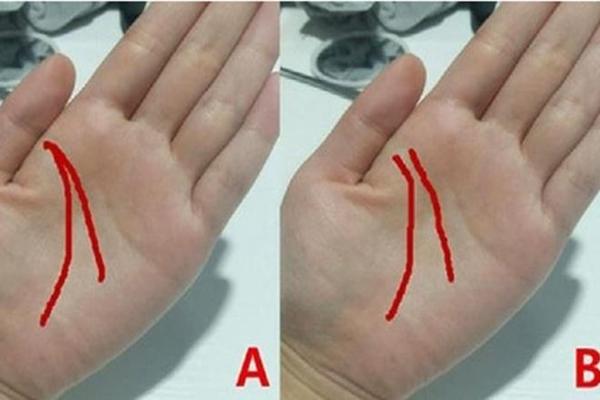 Đúng Valentine, 4 con giáp sốc vì được tỏ tình hạnh phúc ngất ngây-5