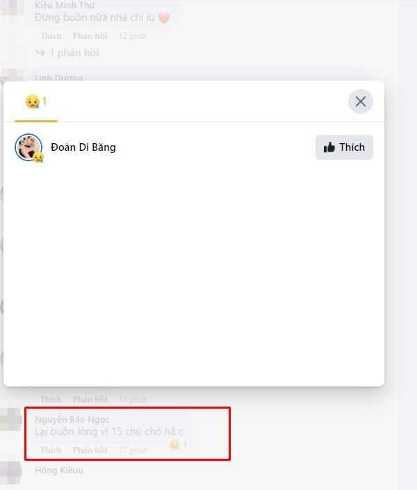 Đoàn Di Băng ám chỉ bị lợi dụng vụ 15 chú chó bị tiêu hủy-3