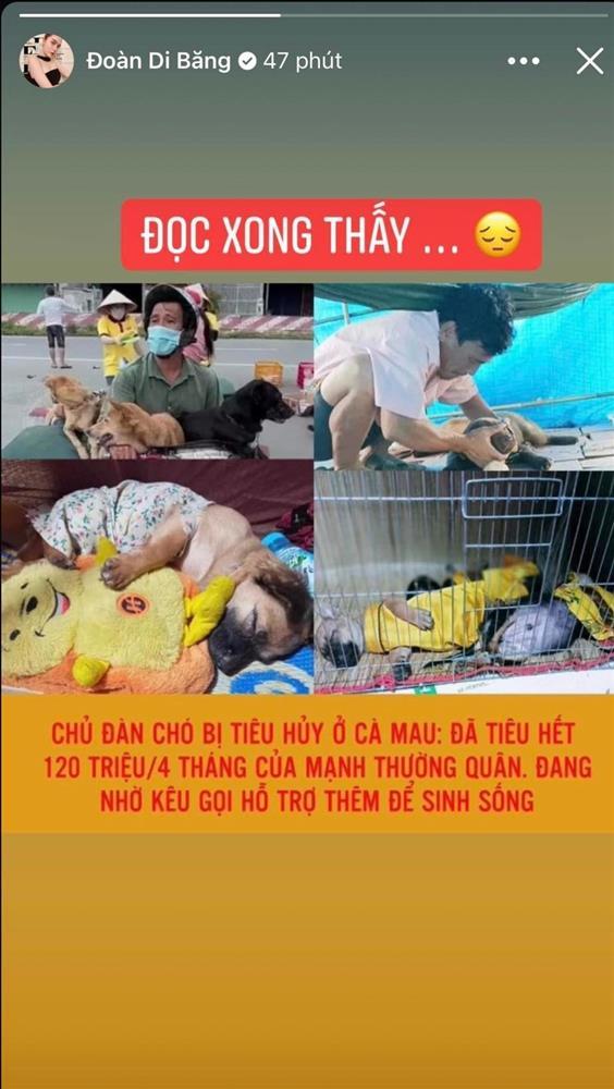 Đoàn Di Băng ám chỉ bị lợi dụng vụ 15 chú chó bị tiêu hủy-1