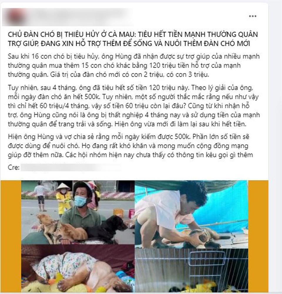 Chủ đàn chó ở Cà Mau kêu oan khi bị chỉ trích xin tiền hoang phí-1