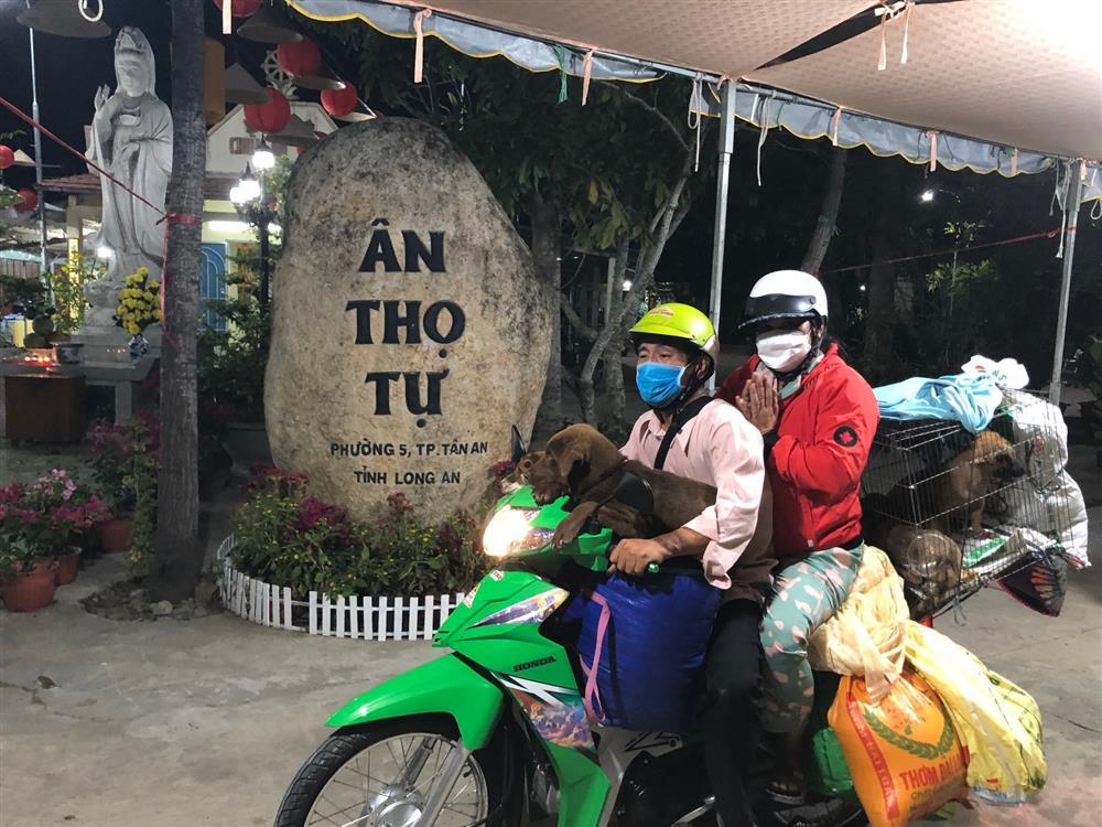 Hình ảnh mới nhất chủ đàn chó bị tiêu hủy ở Cà Mau-1