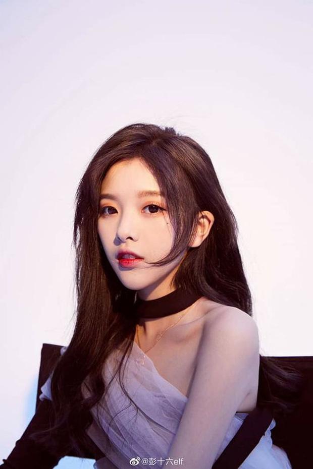 Tình tin đồn Hoàng Tử Thao: Toàn mỹ nhân từ Trung sang Hàn-5