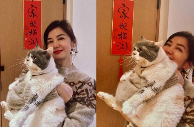 Chung Sở Hồng sống cô độc, dung mạo ra sao ở tuổi 62?-1