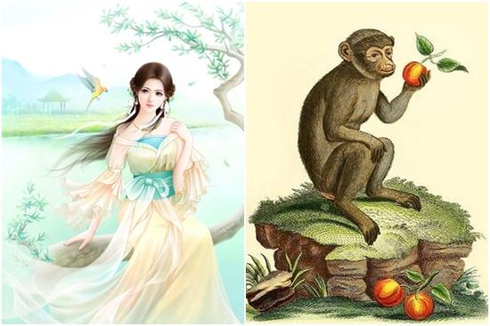 Thời thế đổi thay, 4 con giáp gặt hái thành công, bộn tiền tuần mới