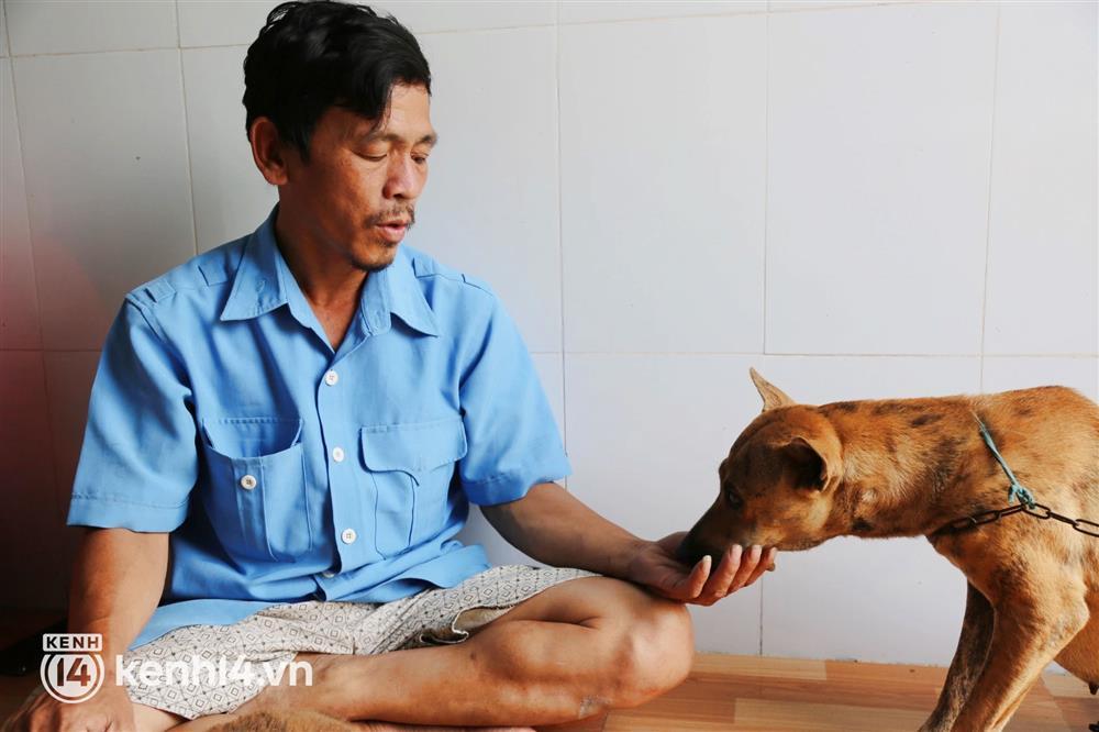 Bị tố lừa tiền Đoàn Di Băng, chủ đàn chó bị tiêu hủy phản ứng căng-4