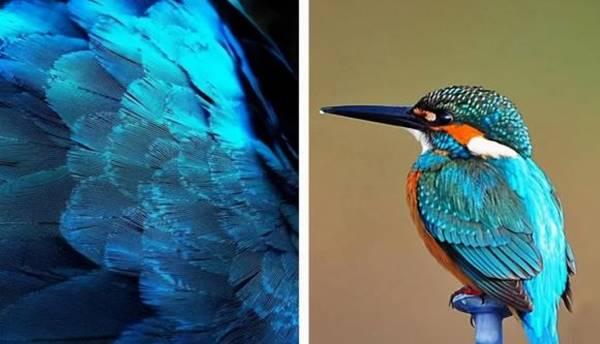 Bí mật đáng kinh ngạc của các phi tần thời nhà Thanh từ lịch sử tới phim ảnh-2