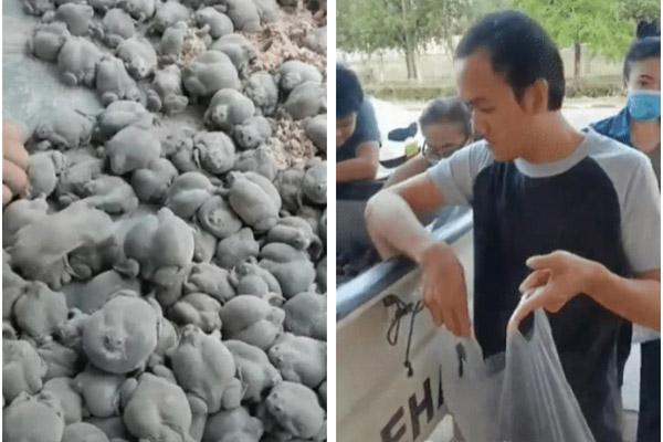 Súp bọ cạp nguyên con ở Trung Quốc khiến ai nấy rợn người-4