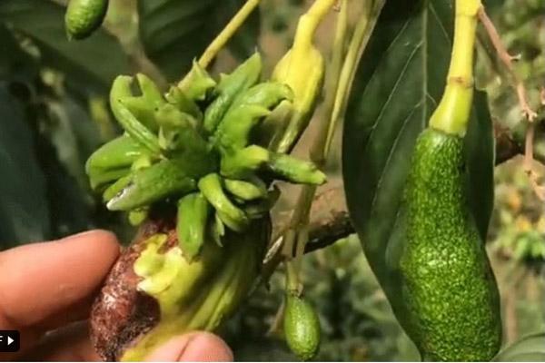 Khu check in Vườn Thượng Uyển Bay bị dân mạng đánh giá 1 sao thẳng tay-8