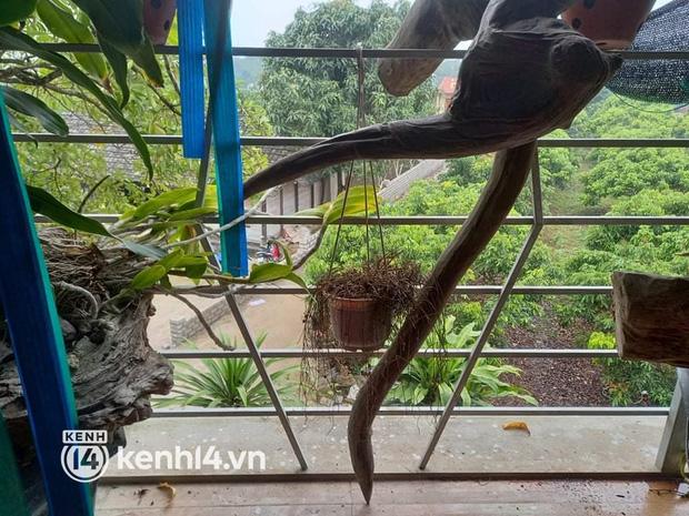 Cận cảnh ô cửa sổ kẻ thủ ác ngắm bắn 2 vợ chồng ở Thái Nguyên-4