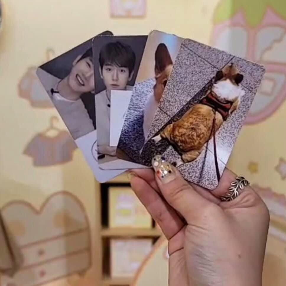 Những chiếc photocard lạ lùng của idol K-pop-5