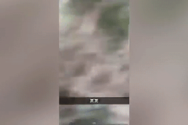 Clip: 30 nam sinh đánh đập 2 nữ sinh, ném xuống hồ mặc lời van xin