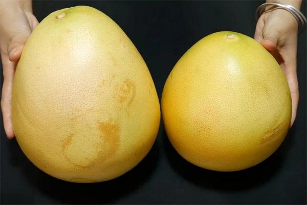 Mua bưởi nên chọn quả nhọn hay tròn là ngon nhất?-1