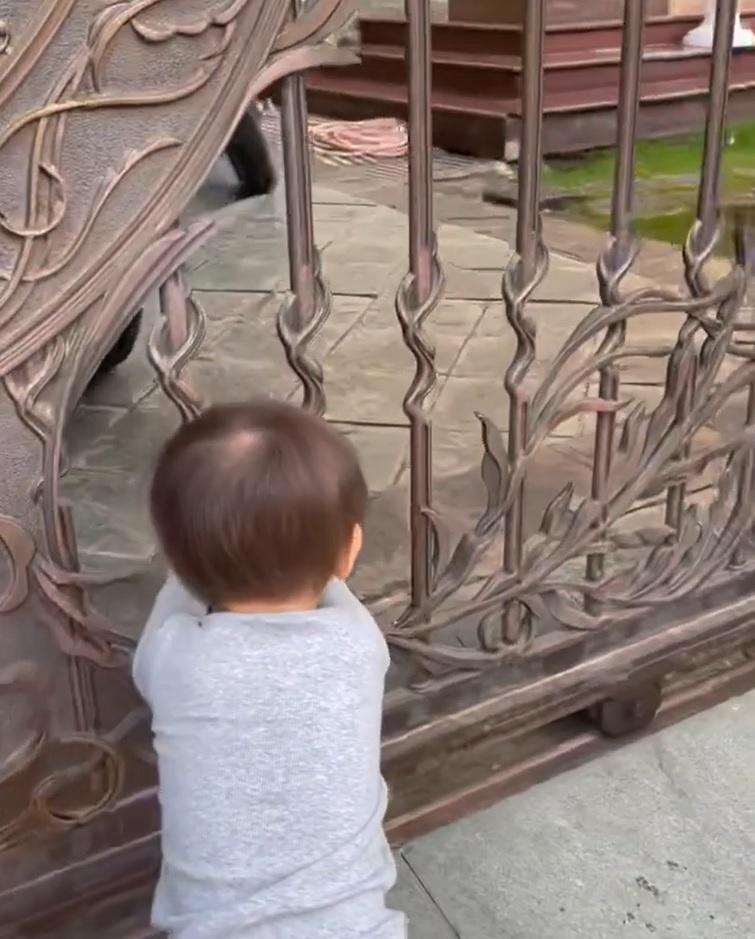 2 con Hồ Ngọc Hà ngó nhà hàng xóm, Lisa chuẩn quý cô nhiều chiện-3